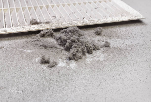 Best Air Duct Sanitizing Services  in Nyssa, OR