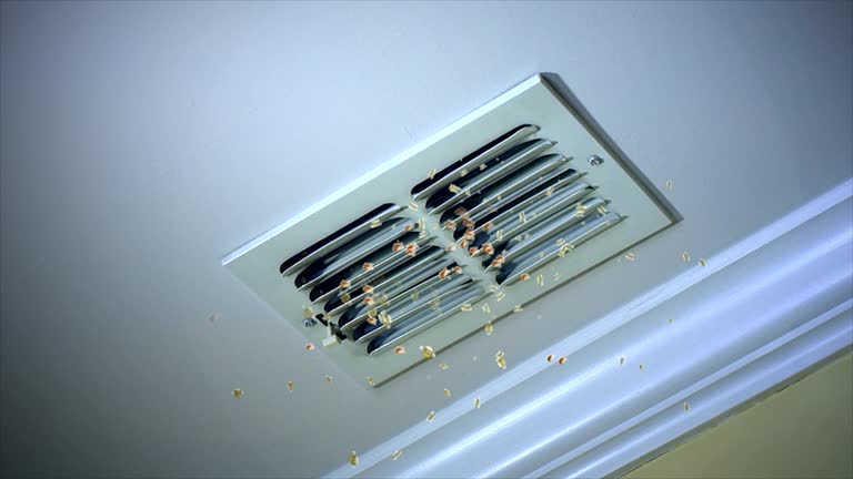 Best Affordable HVAC Duct Cleaning  in Nyssa, OR