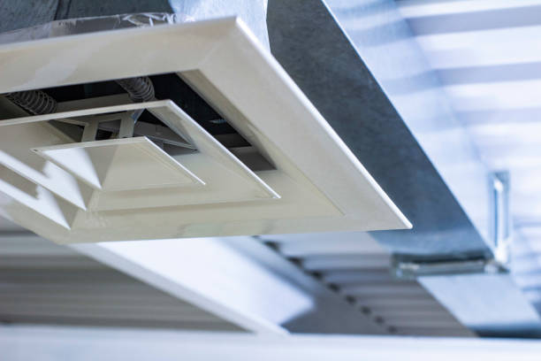 Best Air Duct Mold Removal  in Nyssa, OR