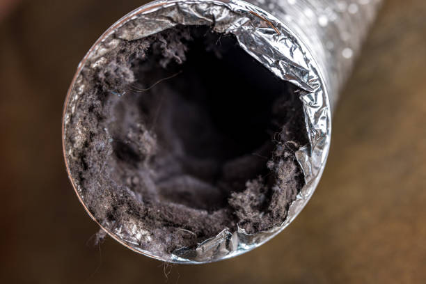 Best Air Duct Cleaning Company Near Me  in Nyssa, OR